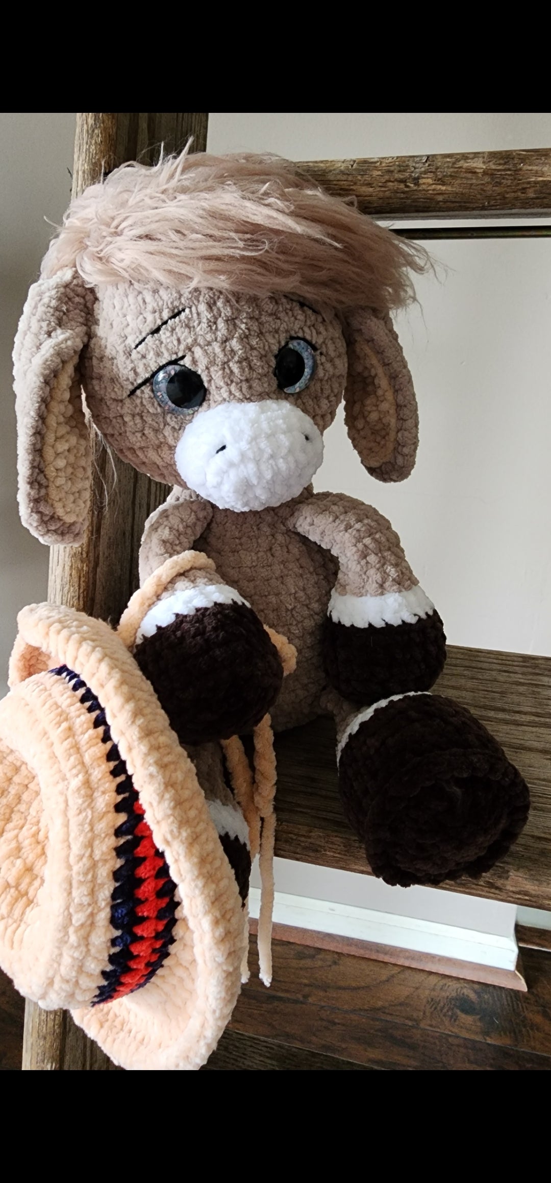 Adorable donkey