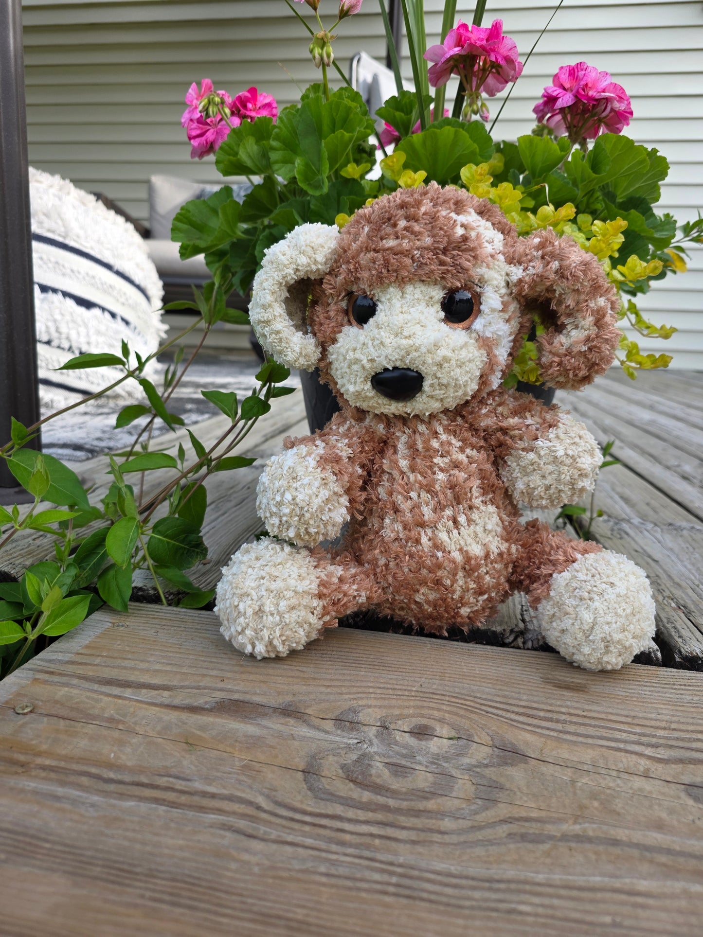 Fluffy puppy