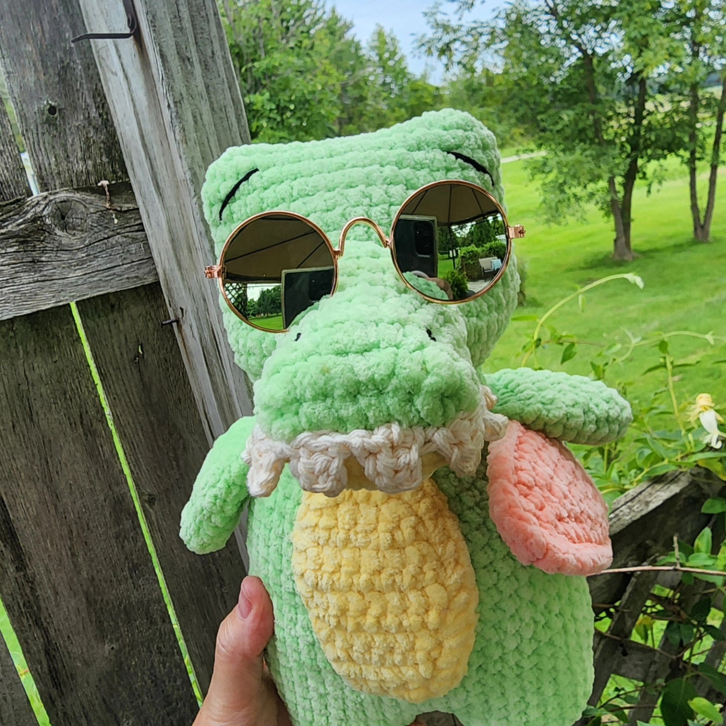 Cool surfing crocodile
