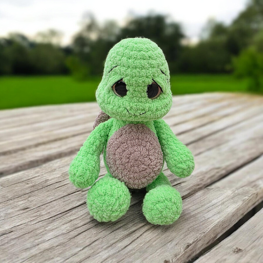 Adorable Turtle